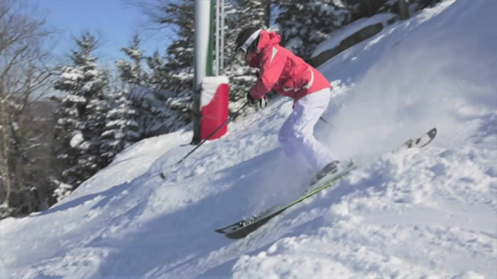 No photo description available.